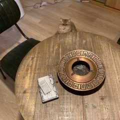 カフェやお散歩