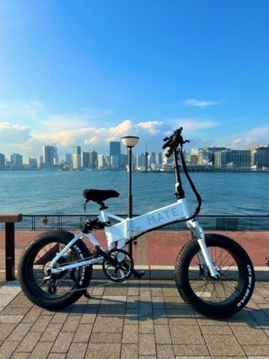 Mate Bike ホワイトアイス(White Ice)