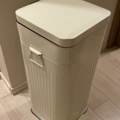 ゴミ箱 30L ペダル ふた付き ペダル開閉式 縦型 スチール ...
