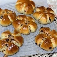 トカゲが作る極上パン教室　※日付変更無の画像