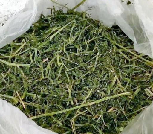 USホースプレミアムアルファルファ牧草10kg(シングルプレス)