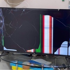 テレビ　
