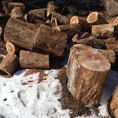 丸太 薪 木材 スゥエーデントーチなどにの画像