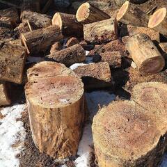 丸太 薪 木材 スゥエーデントーチなどにの画像
