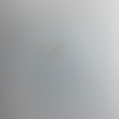 シーリング照明②の画像