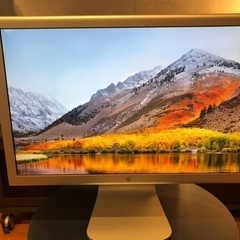 APPLE CINEMA DISPLAY 20インチ