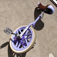 0217-023  ブリジストン 一輪車16インチ