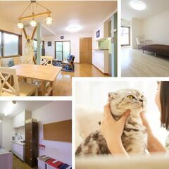 🟥豊中市🛑愛猫といつも一緒！ 🟥関西では希少なペット飼育できるハ...