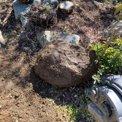 庭石引き取っていただきたいですの画像