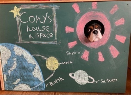 犬小屋