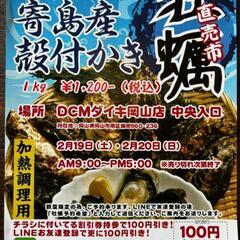 またまた！牡蠣直売します！