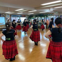 🌴土曜日プルメリアクラス【ナーレイレイコフラスタジオ】品川・大井町のフラダンス教室の画像