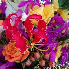 『浦和フラダンス教室』🌴🌴🌴ナーレイレイコフラスタジオの画像