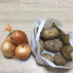 じゃがいも 玉ねぎ 食品まとめ売り