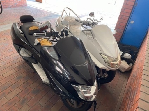 マグザム　sg17j ダークブラウン　限定セール