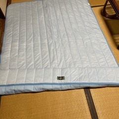 敷きパット　中古の画像