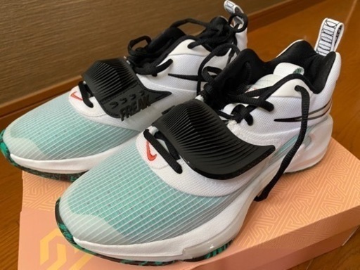 NIKE ズーム フリーク 3 バスケットDA0694-101  25cm