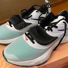 NIKE ズーム フリーク 3 バスケットDA0694-101  25cm