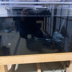 アクリル水槽　横90cm 奥行60cm 高さ45cm 特注上部フィルター　そのセット　引き取り限定の画像