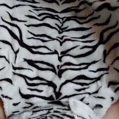 新品　ホワイトタイガー　リアルフェイス　ラグの画像