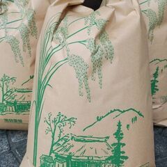 令和３年　ひのひかり　白米　10キロ　おまけ付き
