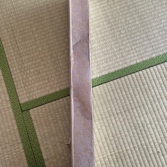 龍の掛け軸の画像