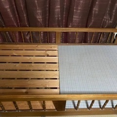 ベットですの画像