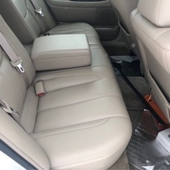 プロナード　人気車の画像