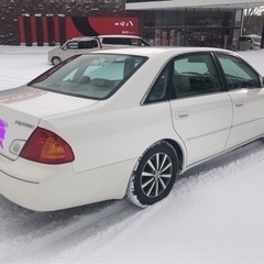 プロナード　人気車の画像