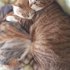 大切にしてくれる方へ