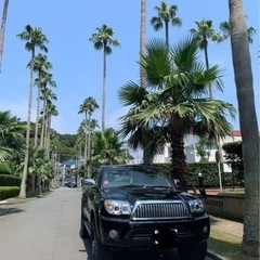 ハイラックスサーフ215後期　3月末までの画像