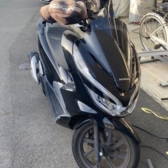 HONDA PCX125 jf81 3月中に買い取れる方優遇
