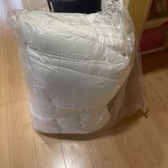 新品！トゥルースリーパー掛け布団シングルの画像