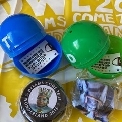 ドリカムコンサートグッズの画像