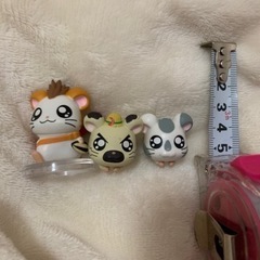 ハムちゃんず無料でお譲りします
