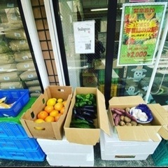 大好評！第3弾！野菜詰め放題、フリマイベント