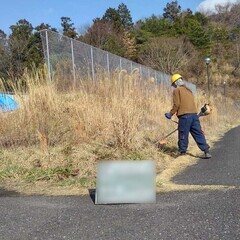 業務委託！ 伐採・剪定・除草作業！　持っている技術を活かせるお仕事！の画像