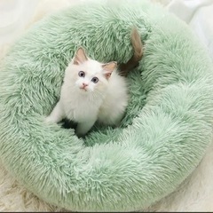 犬猫兼用ベッド取りに来る方