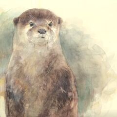 国分寺開催！水彩画ワークショップ「どうぶつの描き方」