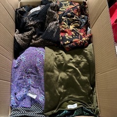 相談中　　衣類　一箱　②の画像