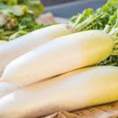【串良町】週払いOK！時給1100円⭐️野菜の収穫【8時〜17時】男性歓迎！未経験OK！の画像