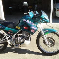 KawasakiアネーロKLE２５０