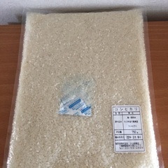 新米 千葉県産コシヒカリ 精米 お米