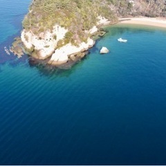 瀬戸内海のウミウシの情報教えて下さい