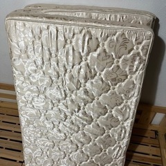 綺麗です！　1000円差し上げます！！の画像