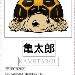 名刺作ります 