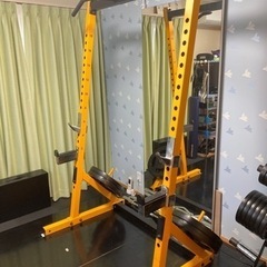 パワーテックハーフラック　ラットタワーオプション　ダンベル　シャフト POWERTEC(パワーテック) ラットタワーオプション WB-LTO20