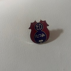 たつみ幼稚園、たつみ第二幼稚園　バッチ