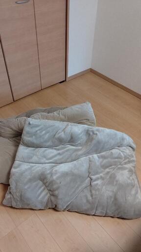 【お話し中】〈ﾆﾄﾘ〉カバー無しでもそのまま使える吸湿発熱掛け布団シングル2枚