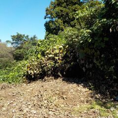 使っていない土地　山林　買います♪
